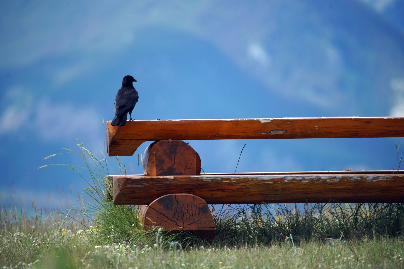 Minolta AF 300mm F2.8 HS-APO G sample photo. Crow, picnic table, mountains photography