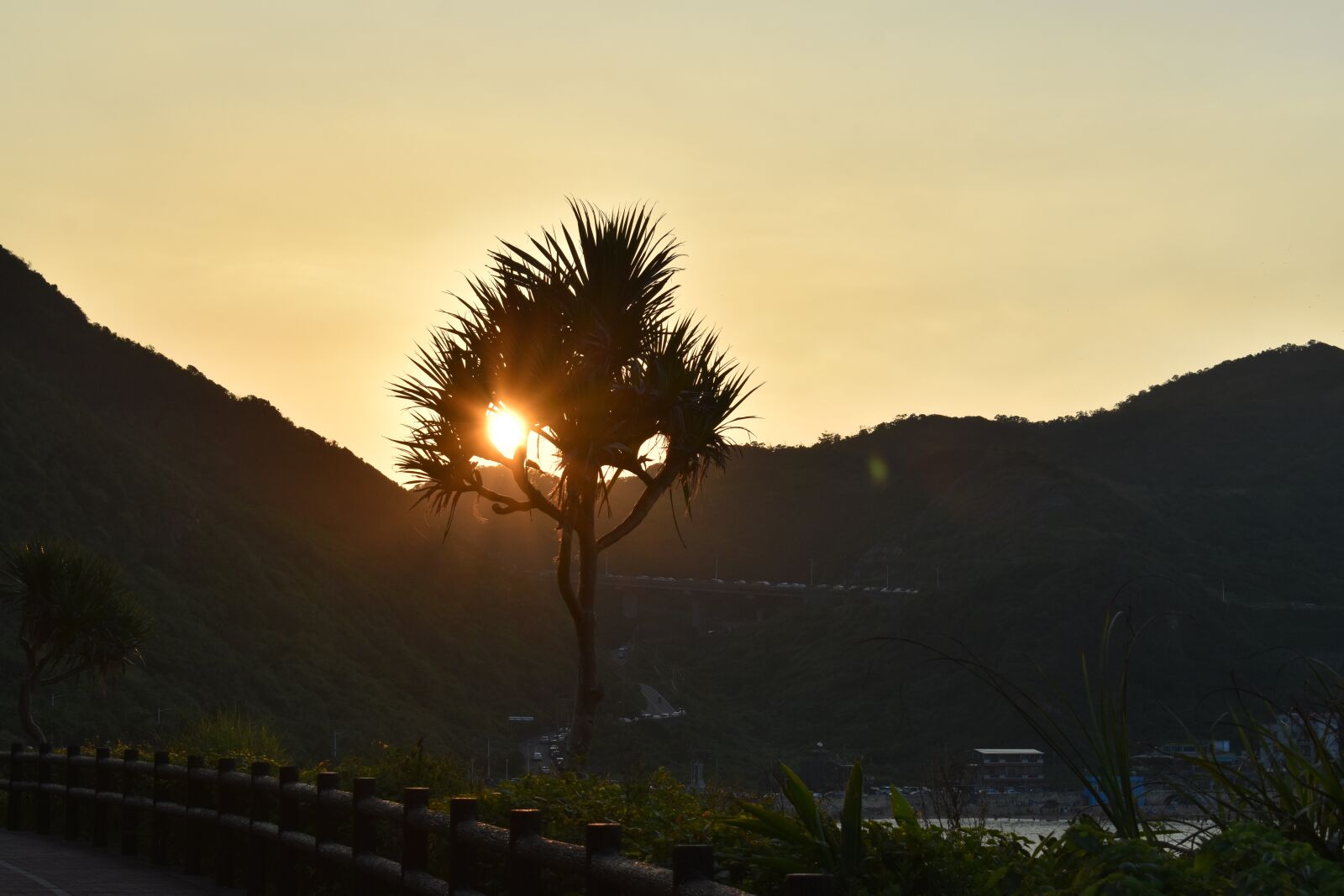 Nikon D5500 sample photo. Sunset, tree, nature photography