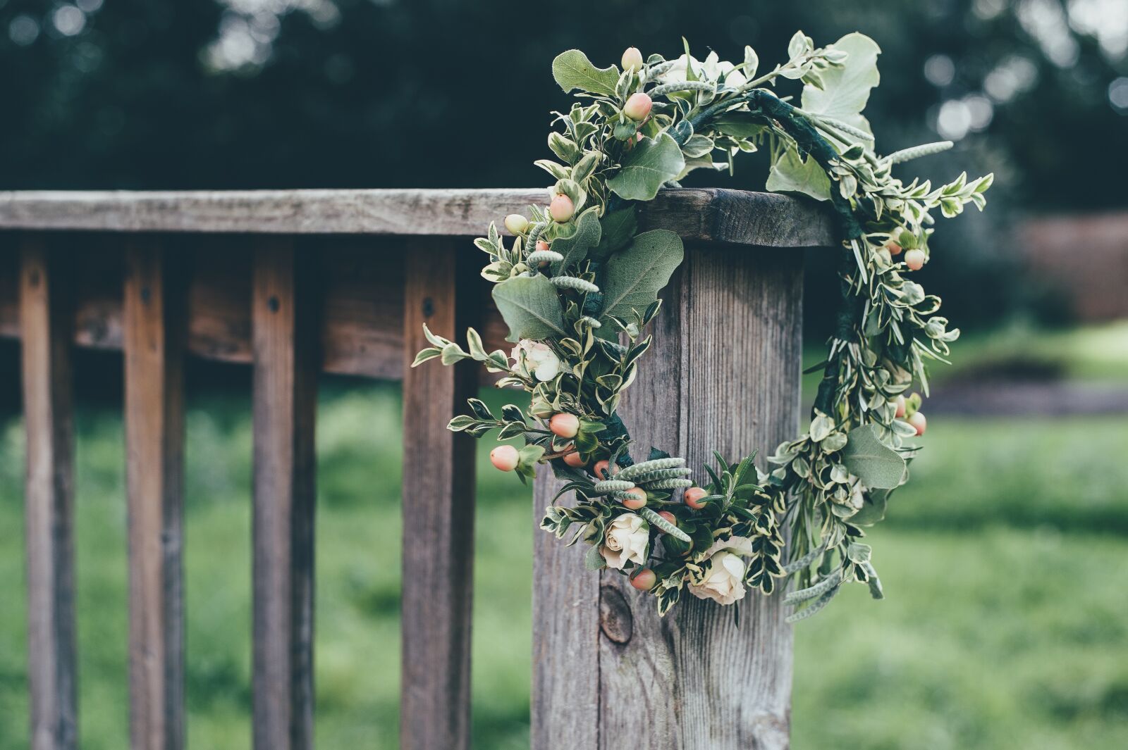 Nikon D4S sample photo. Accessory, close-up, decoration photography