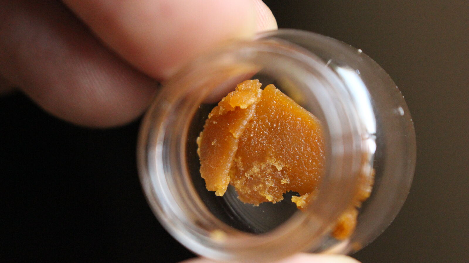 Canon EOS 700D (EOS Rebel T5i / EOS Kiss X7i) sample photo. 420, 710, bho, cannabis photography