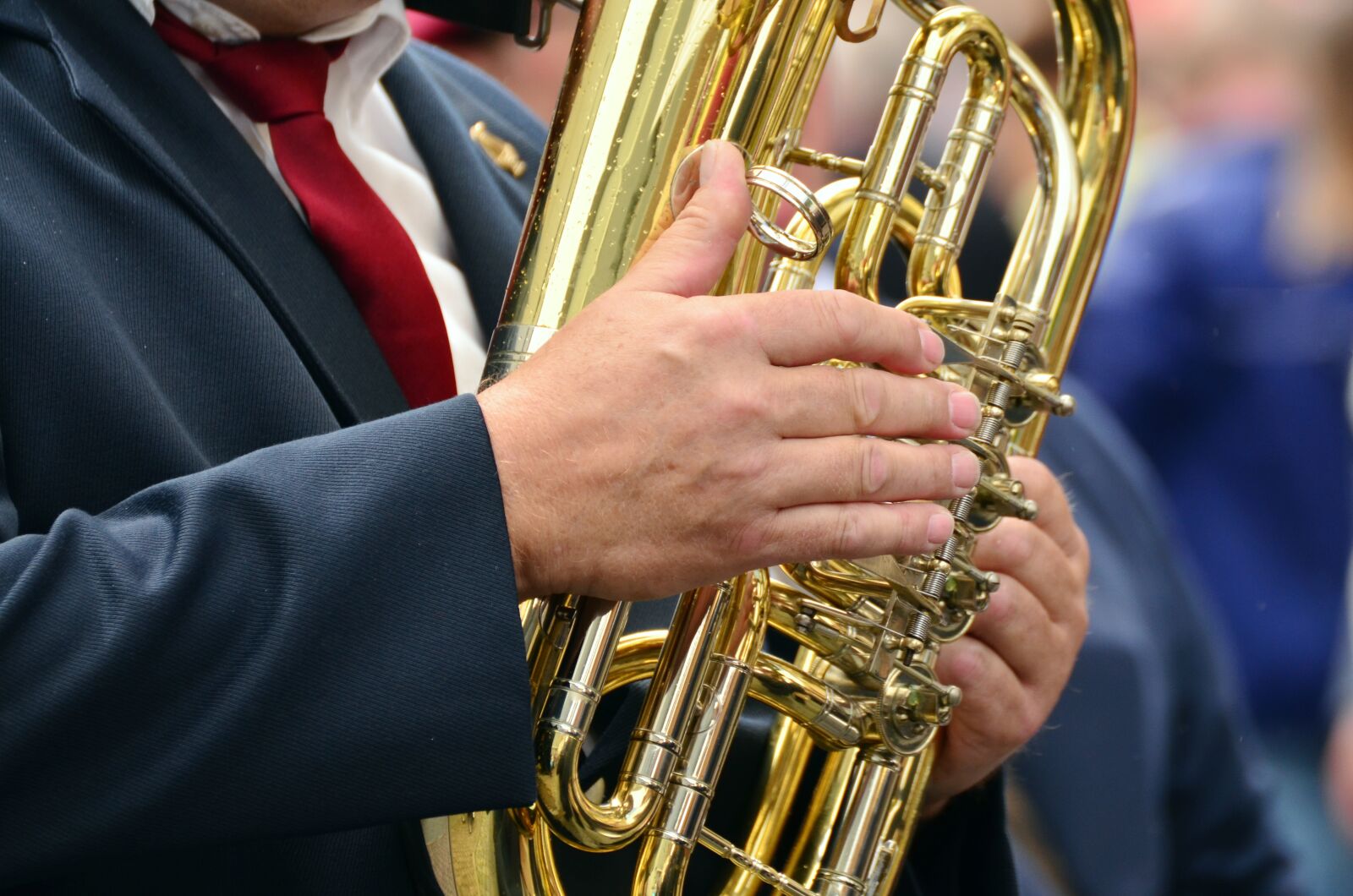 Nikon D5100 sample photo. Hands, musical instrument, tuba photography