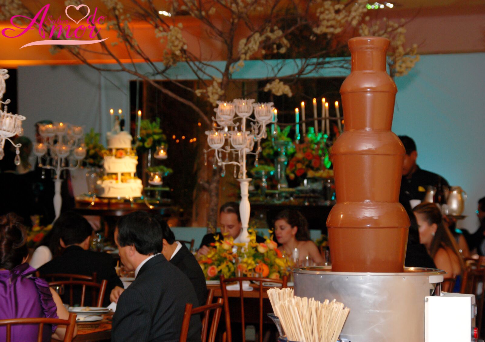 Nikon D80 sample photo. Cascade, chocolate, party photography