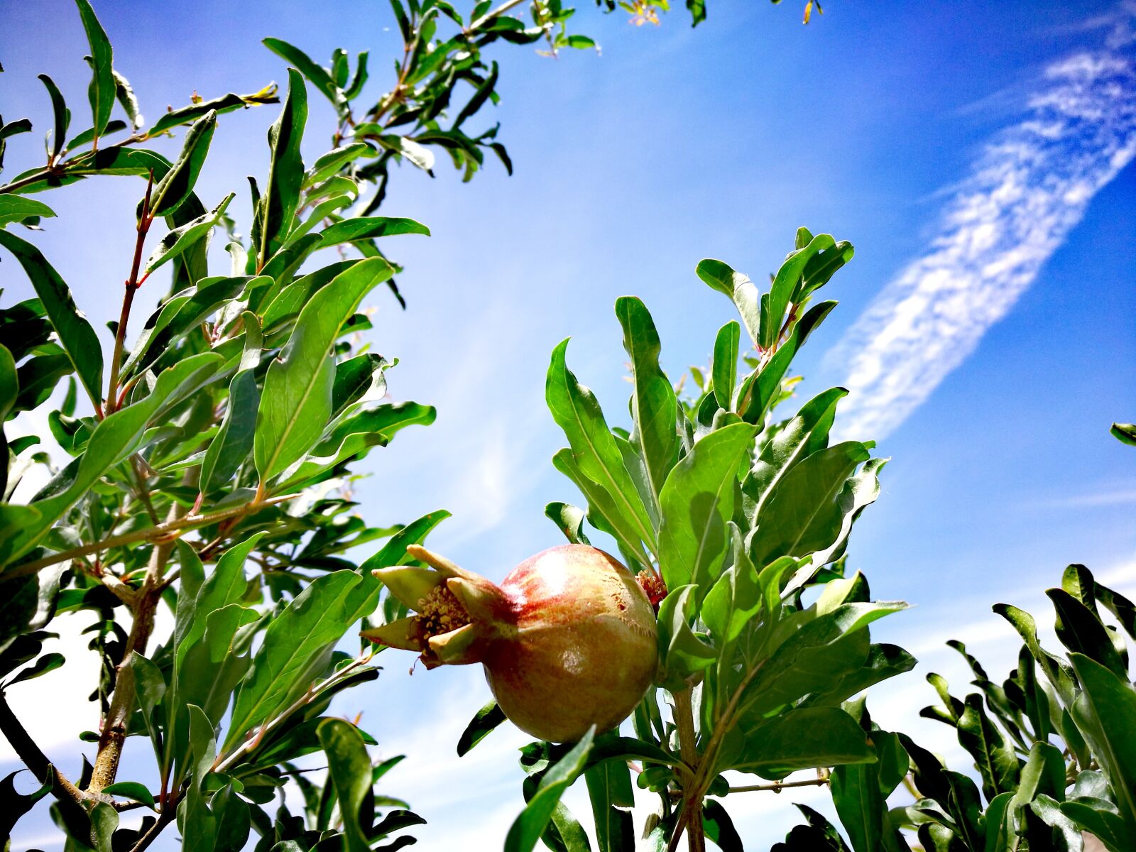 HUAWEI P9 sample photo. Sky, iran, tigan photography