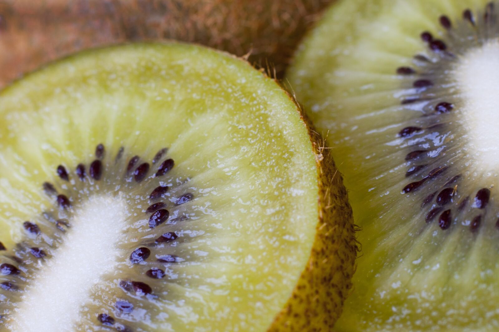 Canon EOS 40D sample photo. Kiwifruit, kiwi, fruit photography