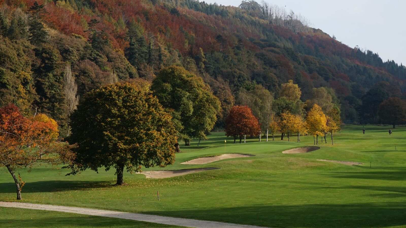 Sony Alpha a5000 (ILCE 5000) sample photo. Golf, autumn, trees photography