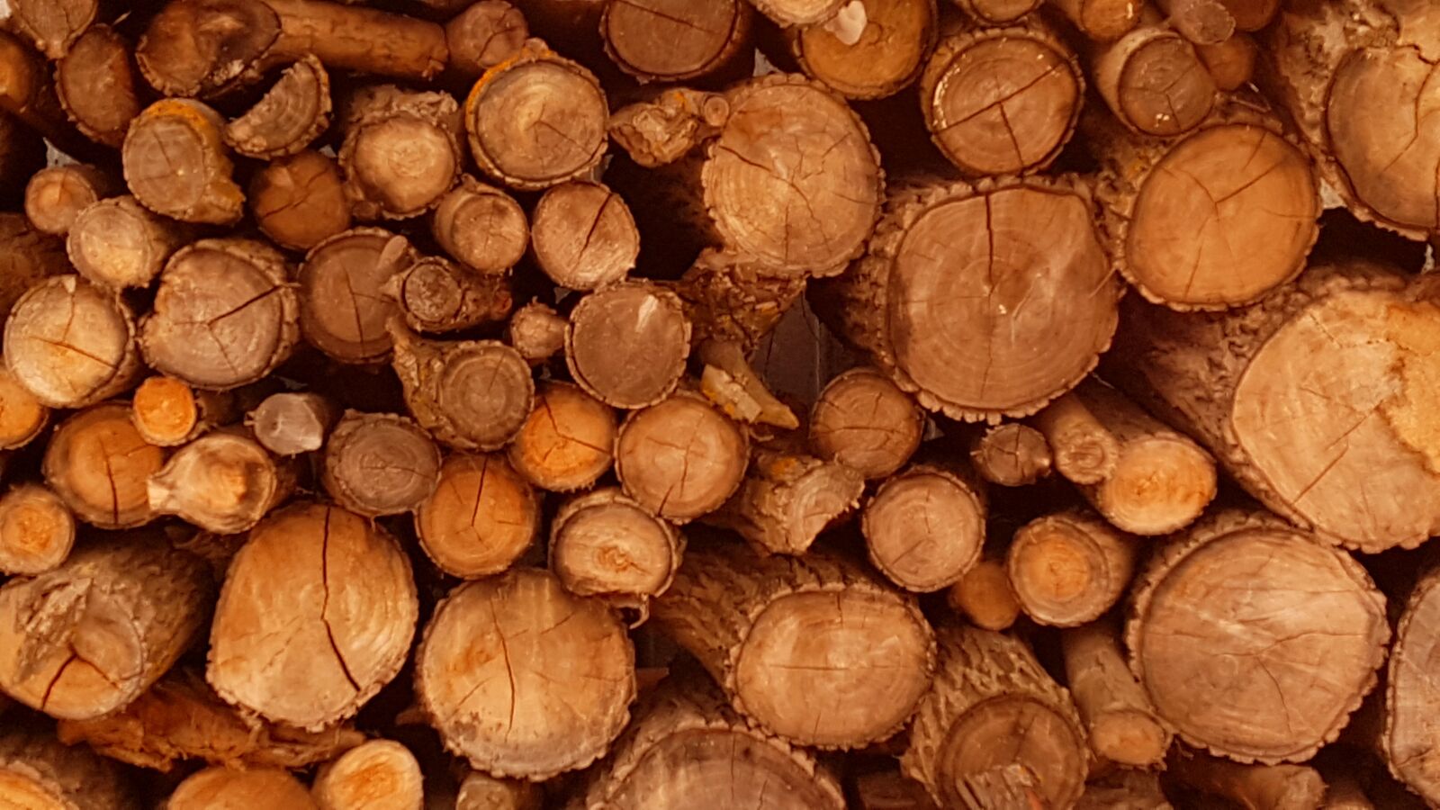 Samsung Galaxy S7 sample photo. Logs, firewood, background photography