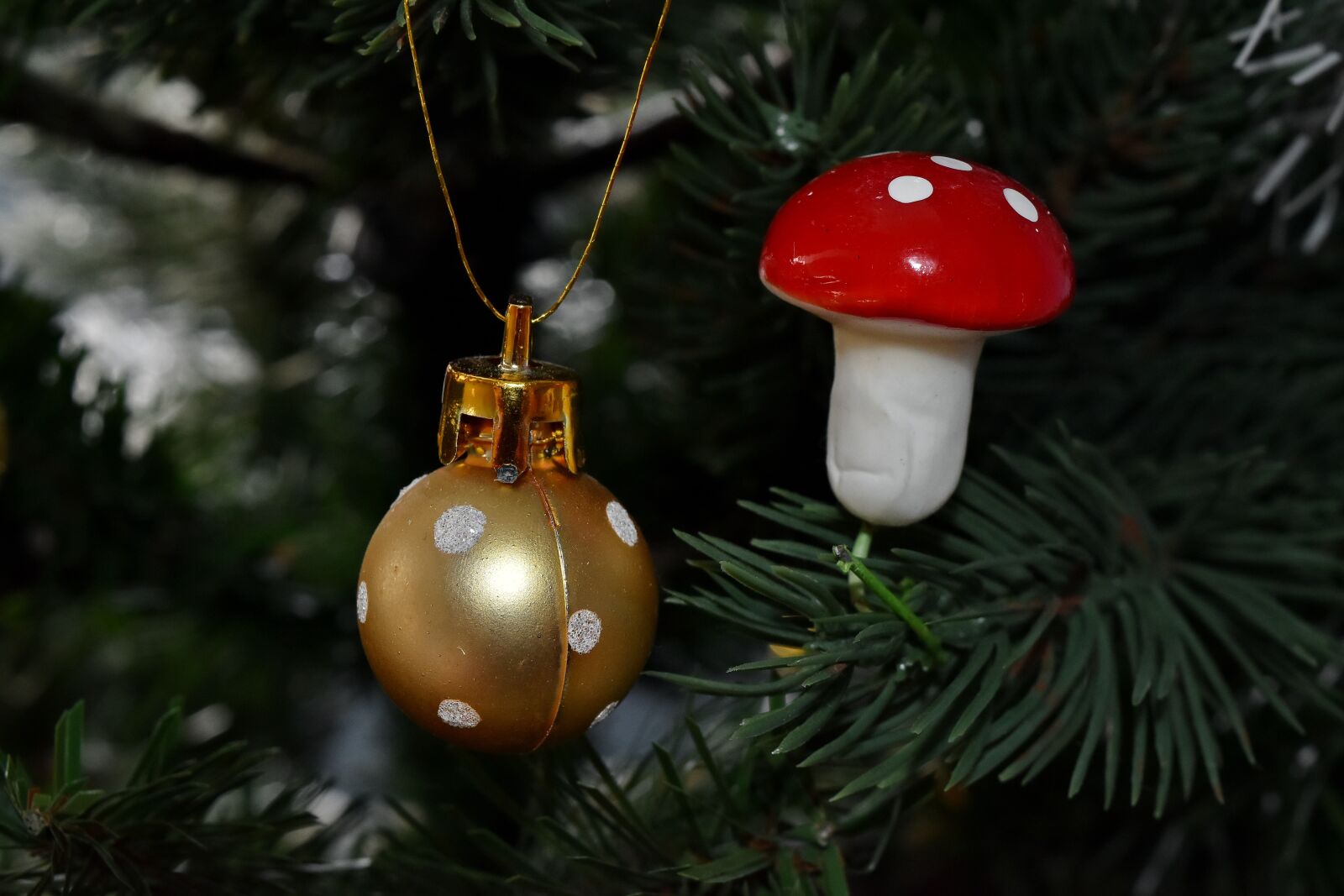 Nikon D5500 sample photo. Christmas tree, golden glow photography
