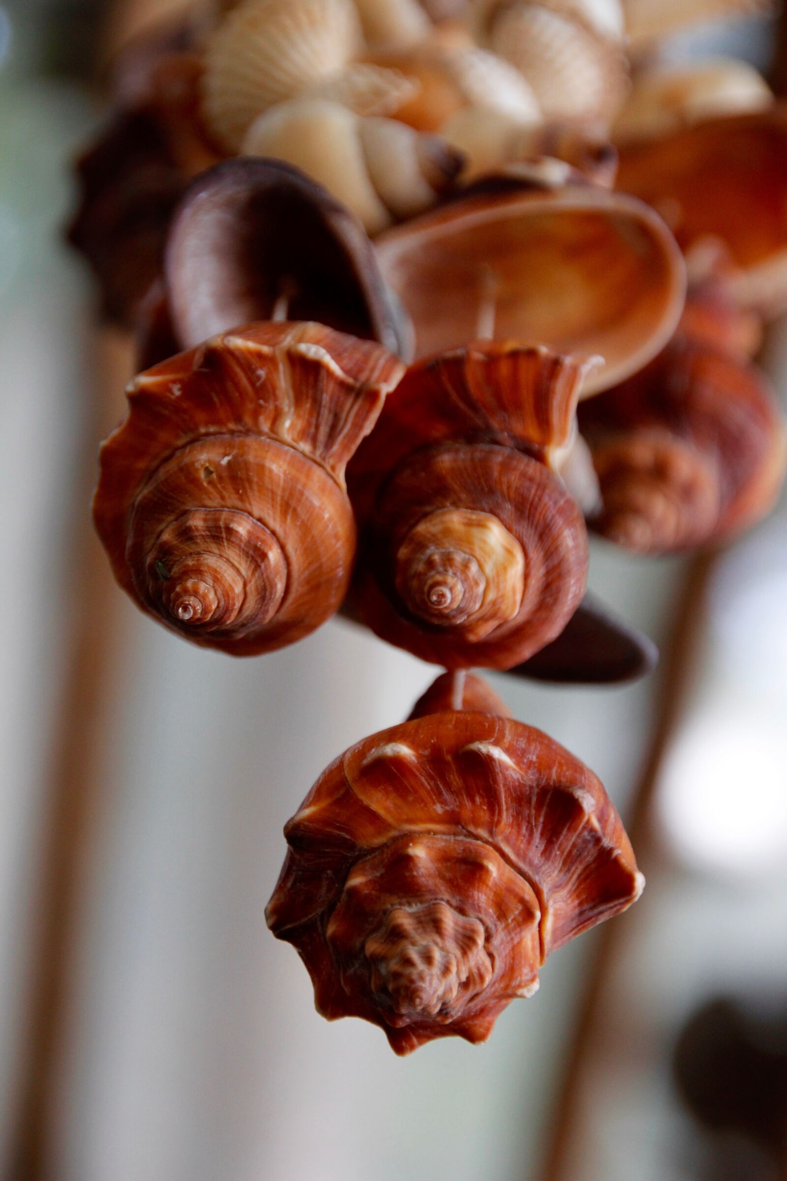 Canon EOS 60D sample photo. Mobile, mussels, sound photography