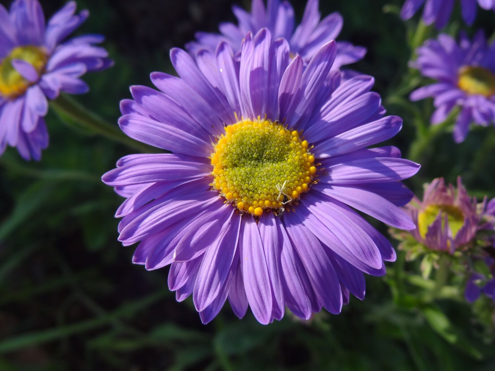 Sony Cyber-shot DSC-HX9V sample photo. Nature, sky, sun photography
