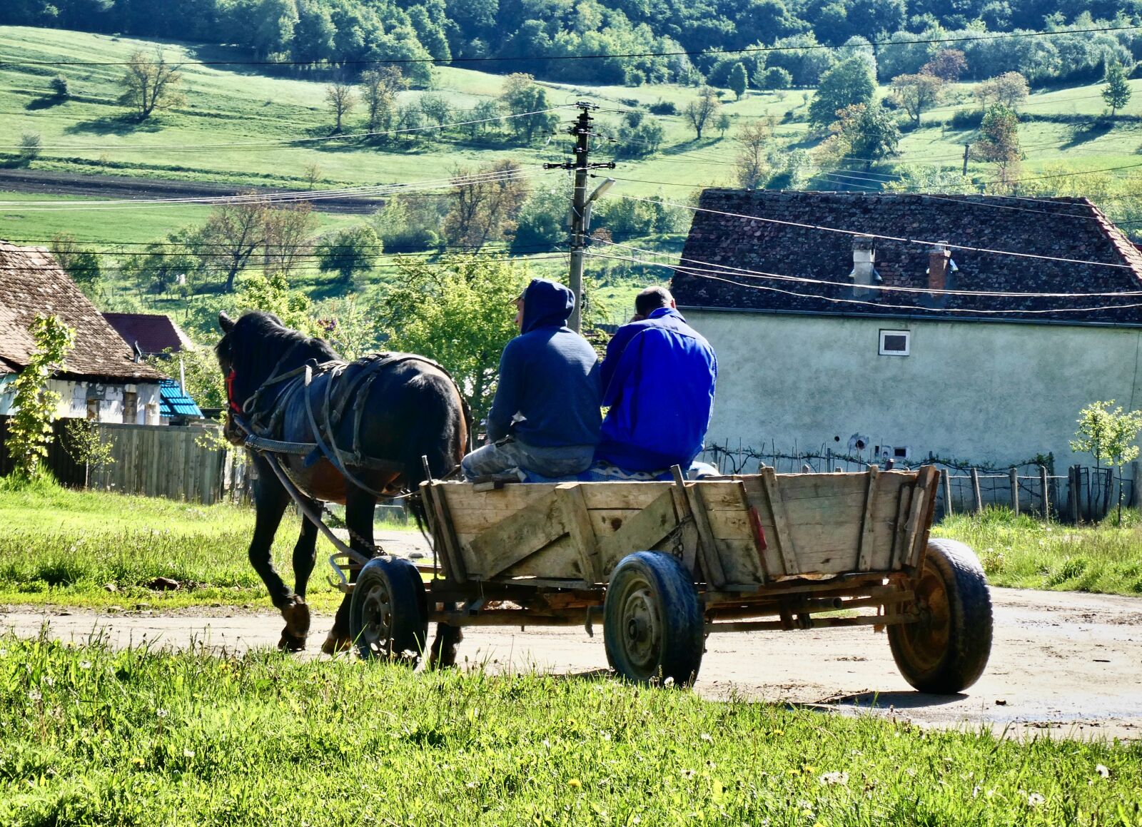 Panasonic Lumix DC-ZS70 (Lumix DC-TZ90) sample photo. Cart, transport, wagon photography