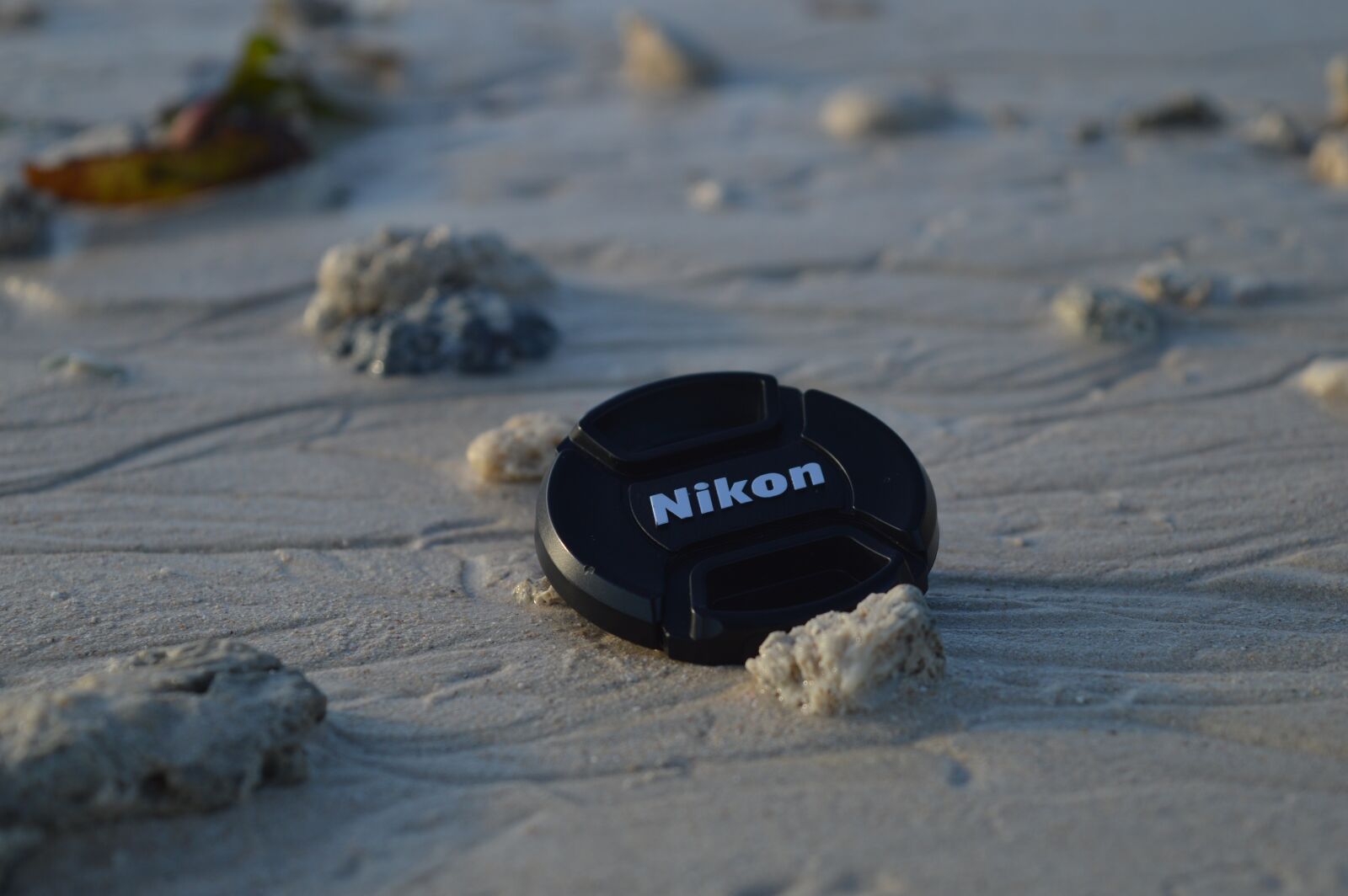 Nikon D3200 sample photo. Nikon, beach, focus photography