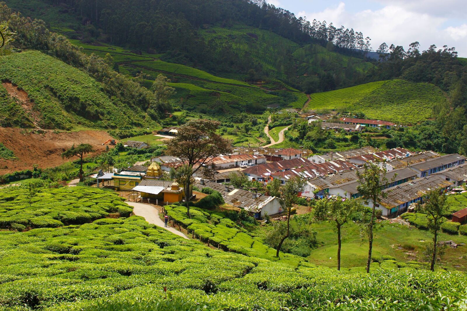 Canon EOS 700D (EOS Rebel T5i / EOS Kiss X7i) sample photo. Plantation, village, landscape photography