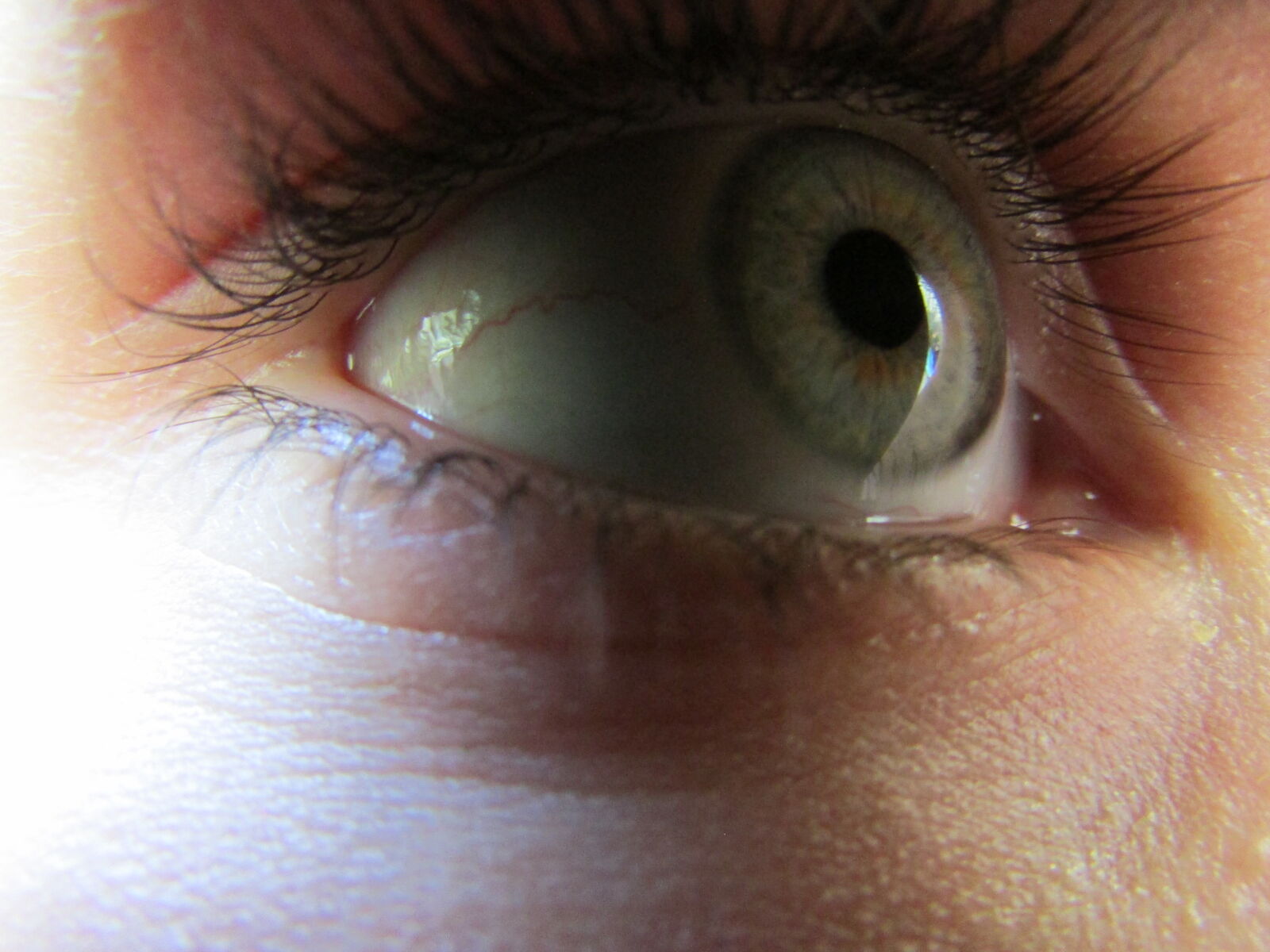 Canon PowerShot SX500 IS sample photo