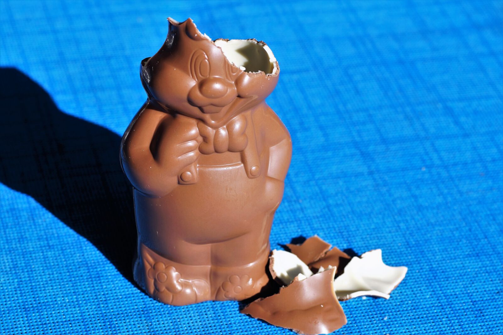Sony SLT-A58 sample photo. Chocolate, hare, bunny girl photography