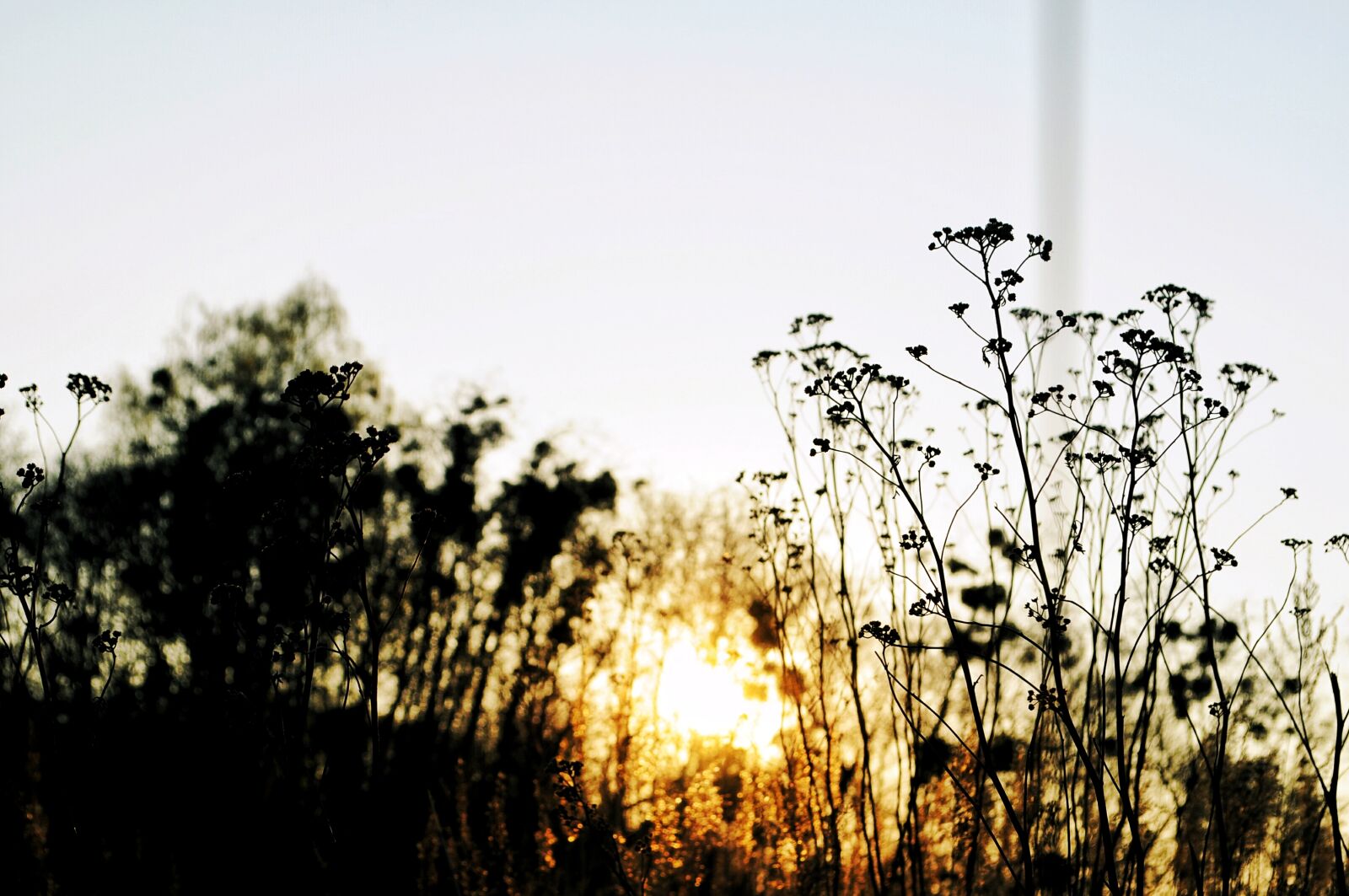 Nikon D5000 sample photo. Clear, sky, creative, lviv photography