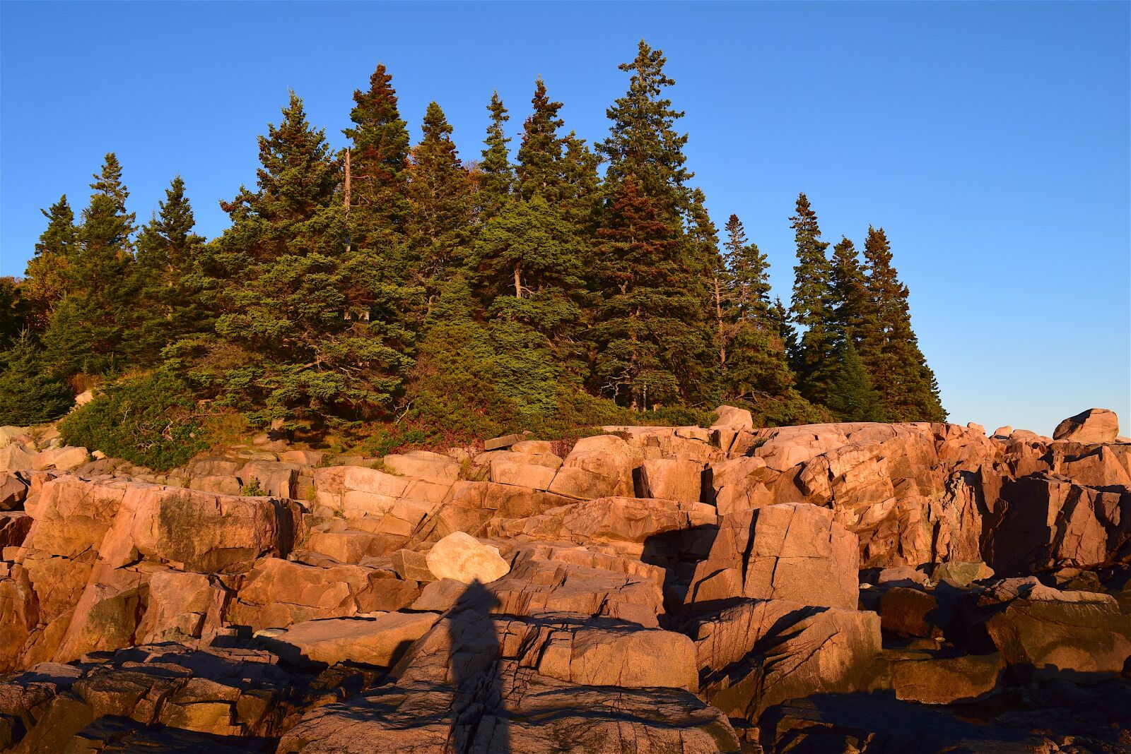 Nikon D3300 sample photo. Sunset, trees, rocks photography