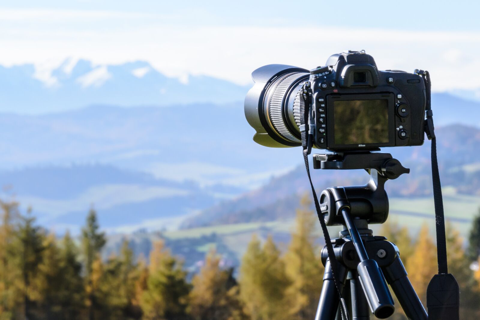 Nikon D3100 sample photo. Camera, photo, nature photography