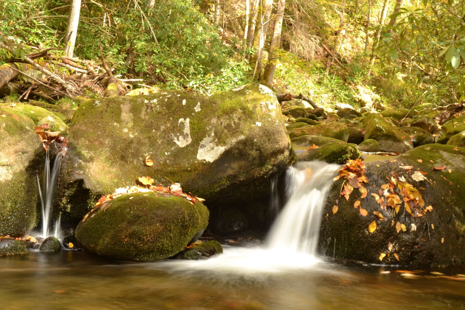 Nikon D3100 sample photo. Fall, stream, leaves photography