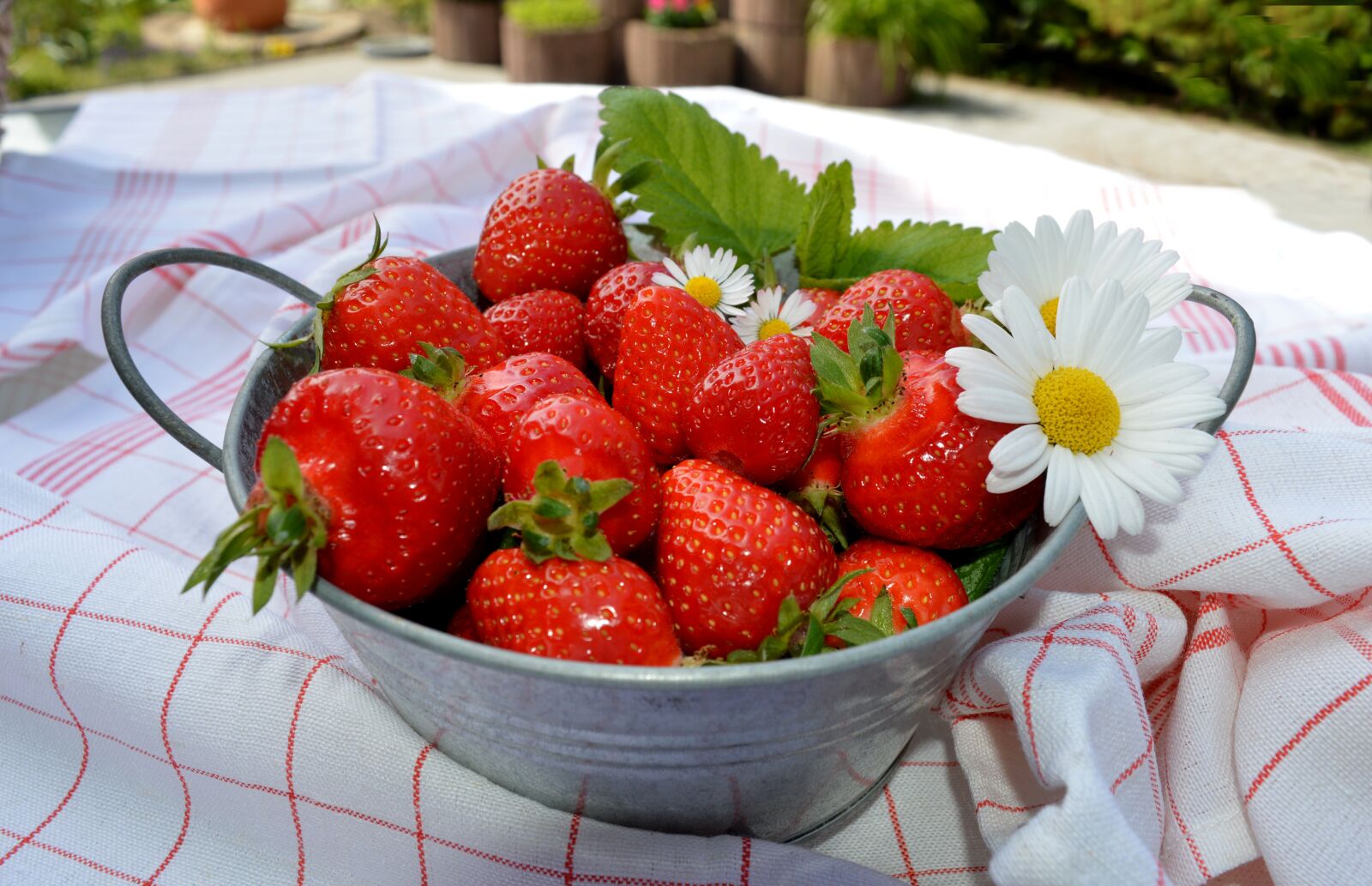 Nikon D3200 sample photo. Strawberries, fruit, red photography