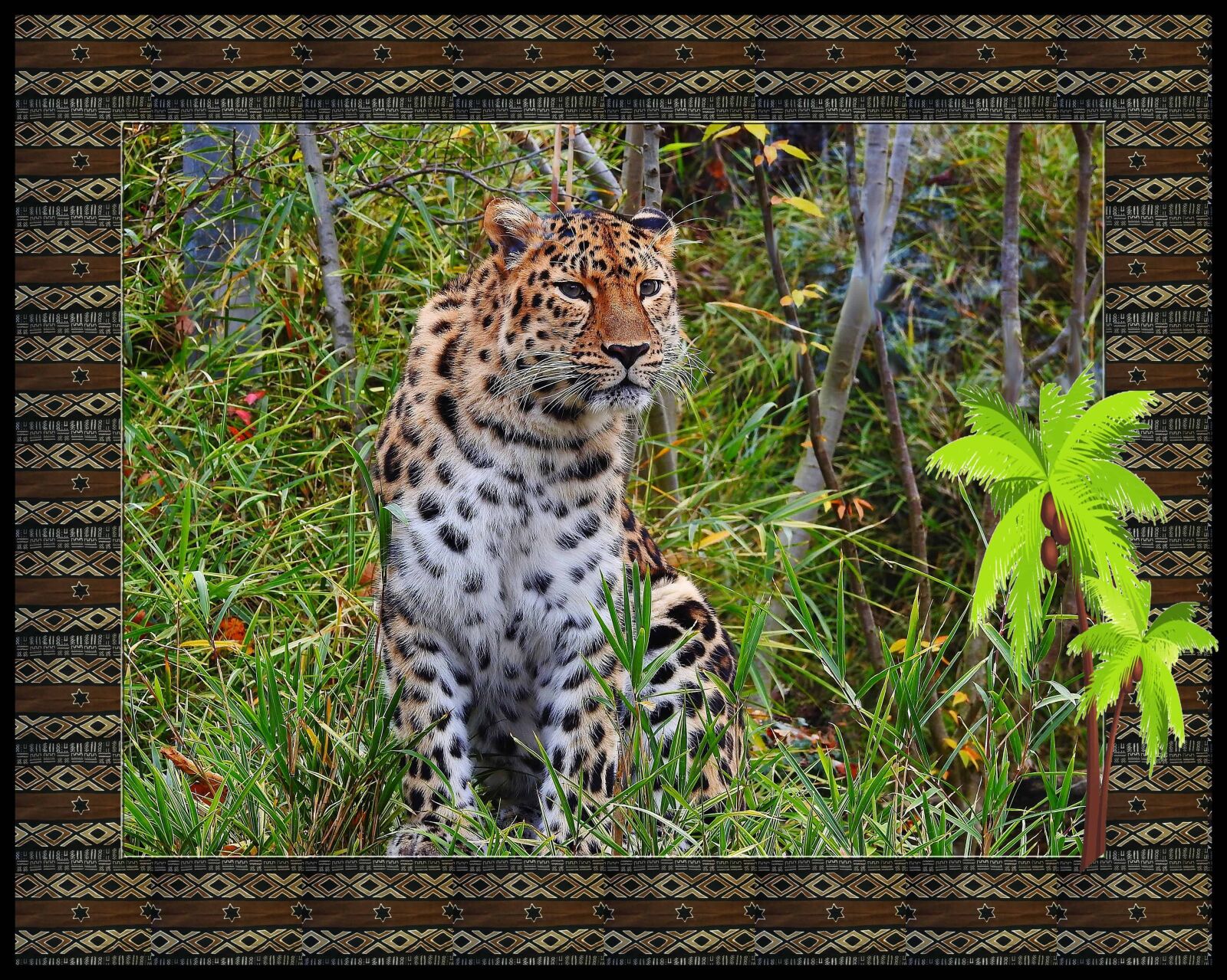 Nikon Coolpix P900 sample photo. Photomontage, nature, animal, wildlife photography