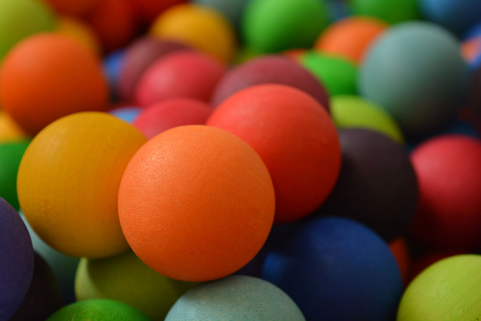 Nikon D5200 sample photo. Close, up, view, colorful photography