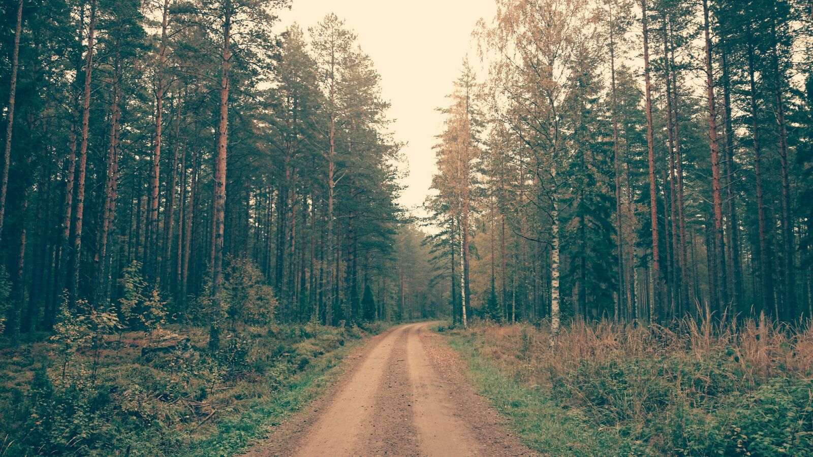 Sony Xperia Z1 sample photo. Nature, landscape, trees photography