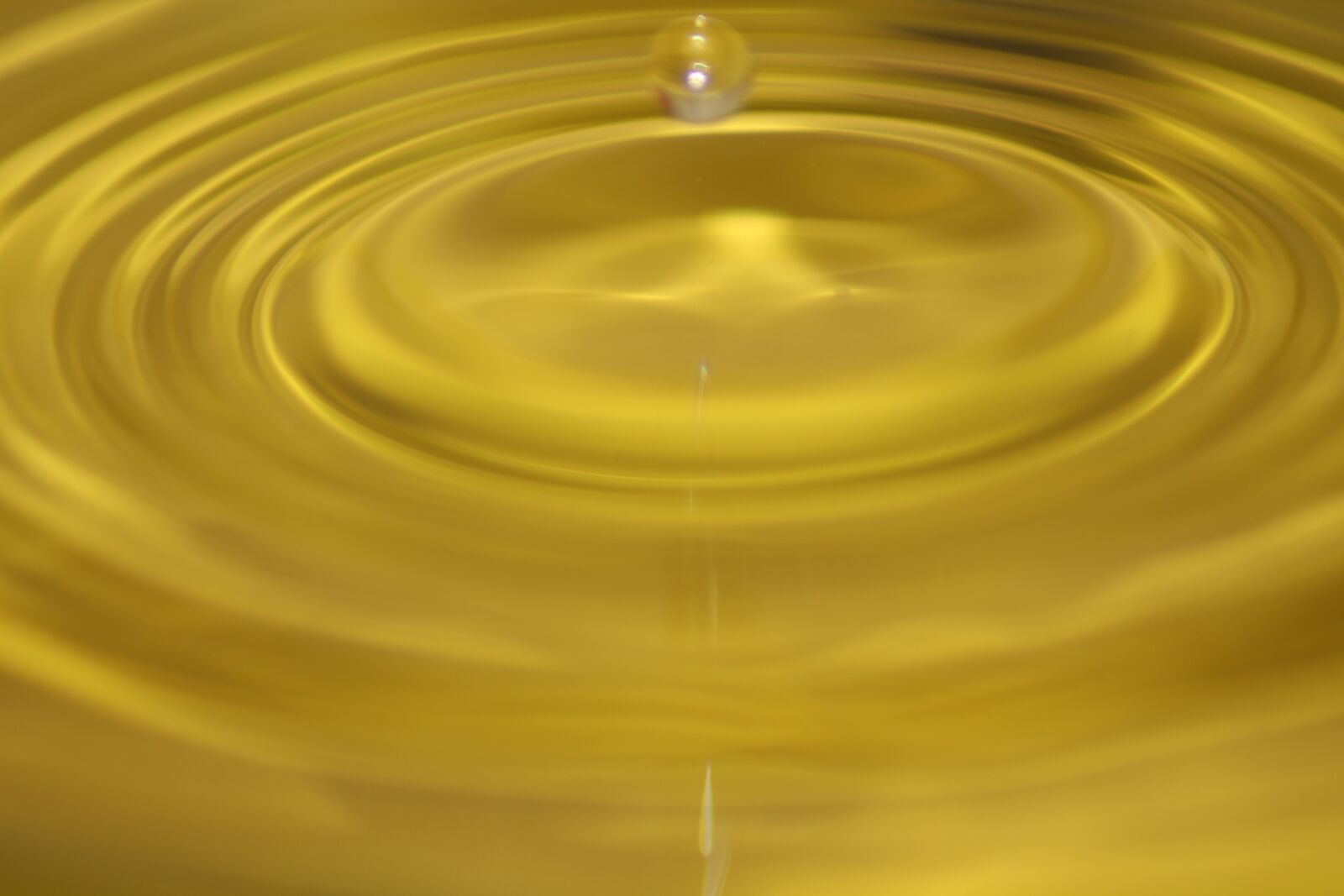 Canon EOS 1100D (EOS Rebel T3 / EOS Kiss X50) sample photo. Drop, water, drip photography