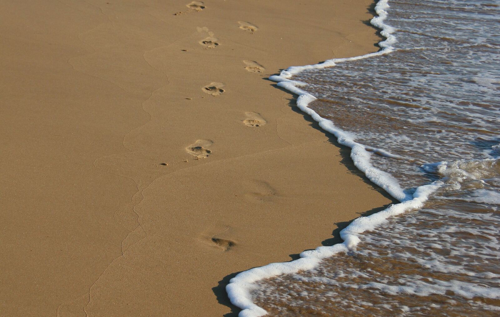 Canon EOS 70D sample photo. Strand, coast, shore photography