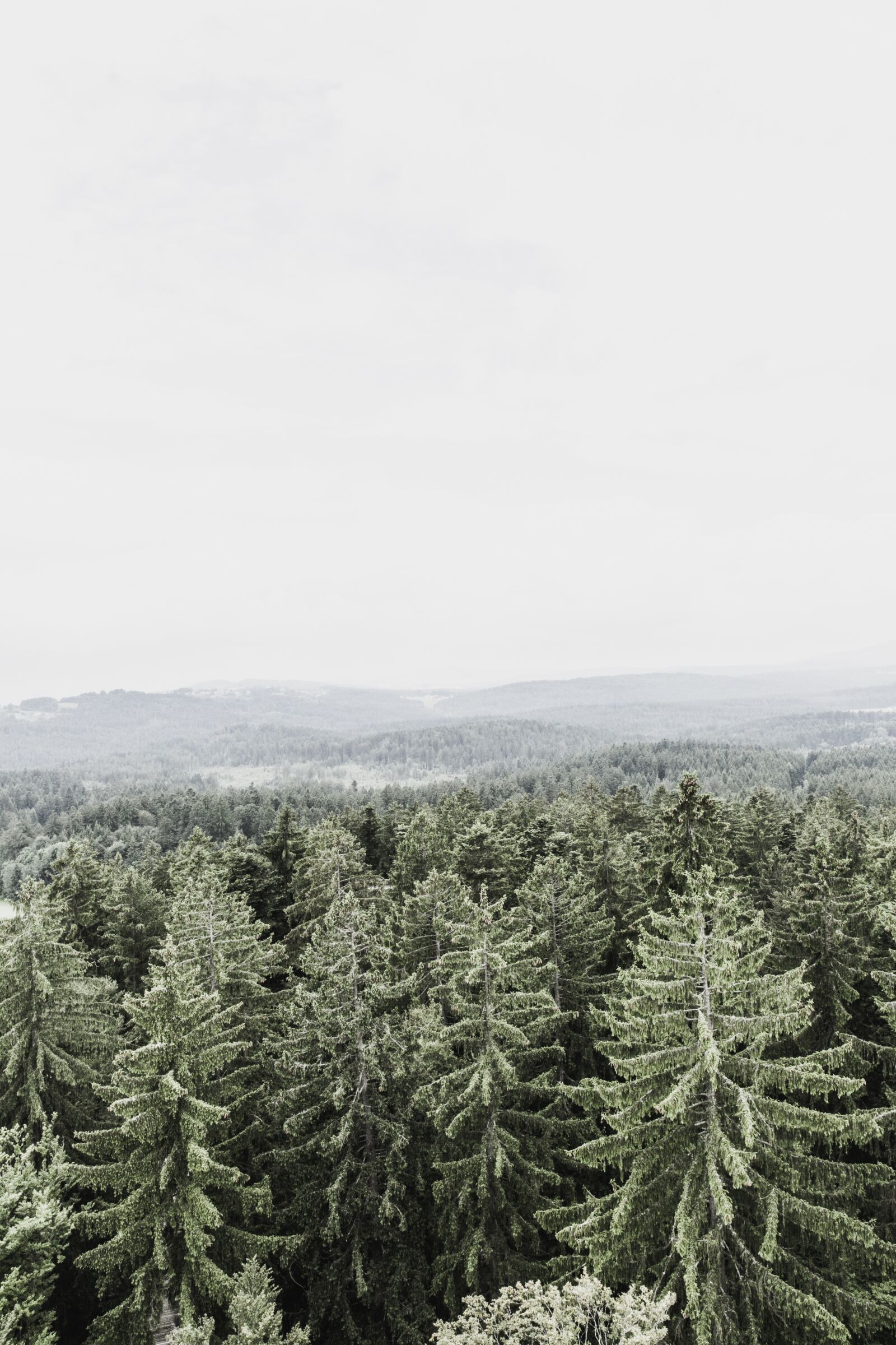 Canon EF 24-70mm F2.8L II USM sample photo. Forest, hill, mountains photography