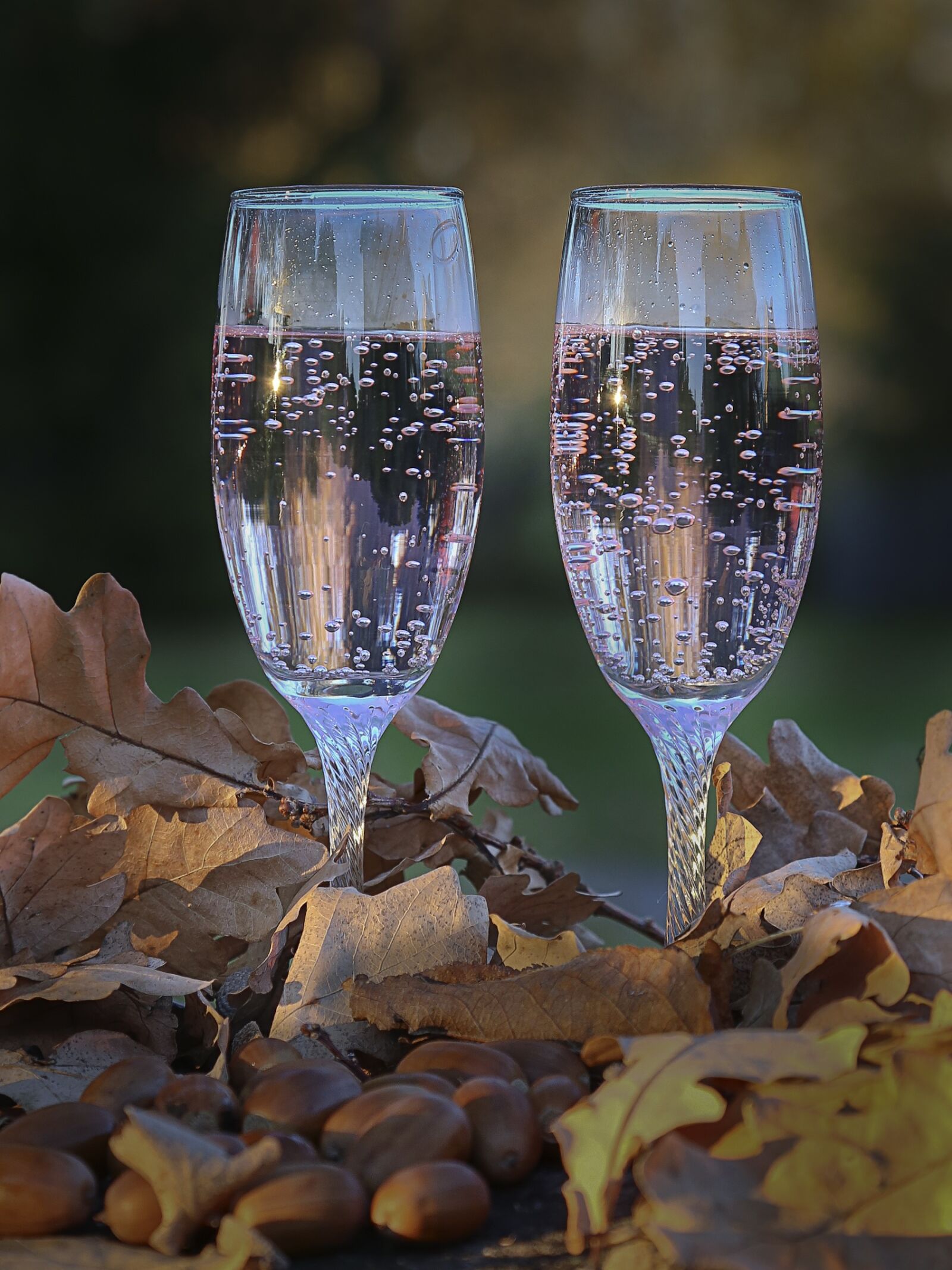 Canon EOS 6D + Canon EF 24-105mm F4L IS USM sample photo. Glasses, autumn, sparkling photography