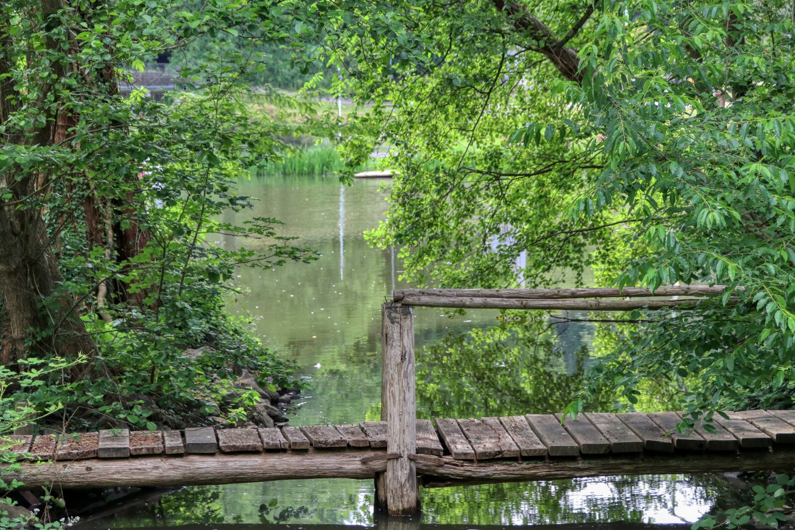 Canon EOS 80D sample photo. Steeg, bridge, lake photography