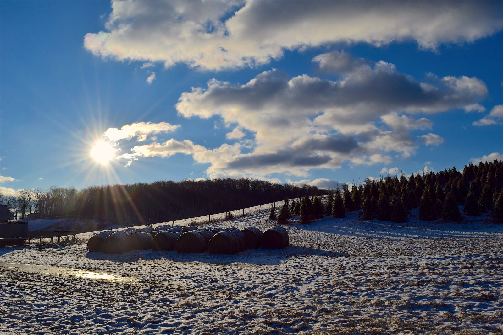 Nikon D3300 sample photo. Field, snow, winter photography