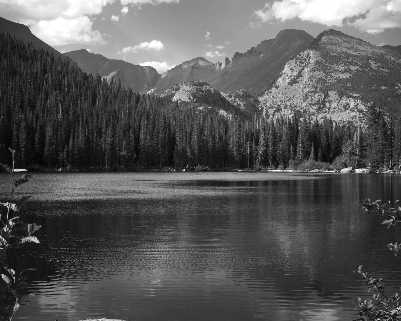 Nikon D600 sample photo. Cloud, forest, lake, landscape photography