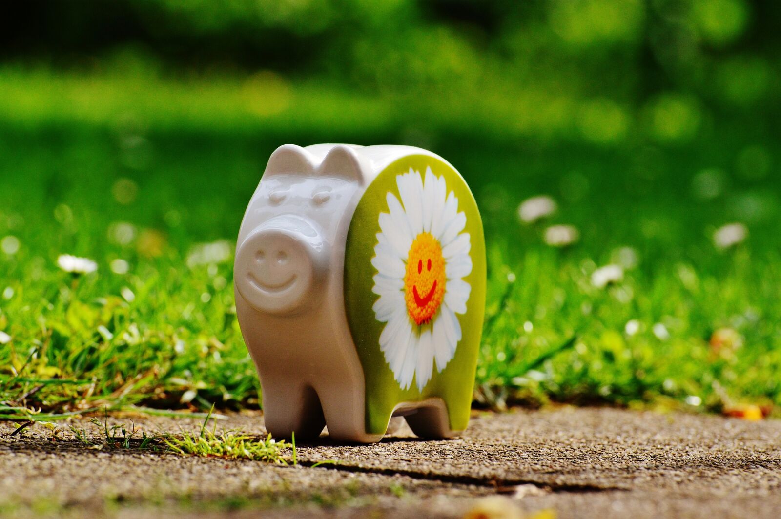 Nikon D3200 sample photo. Piggy bank, smiley, funny photography