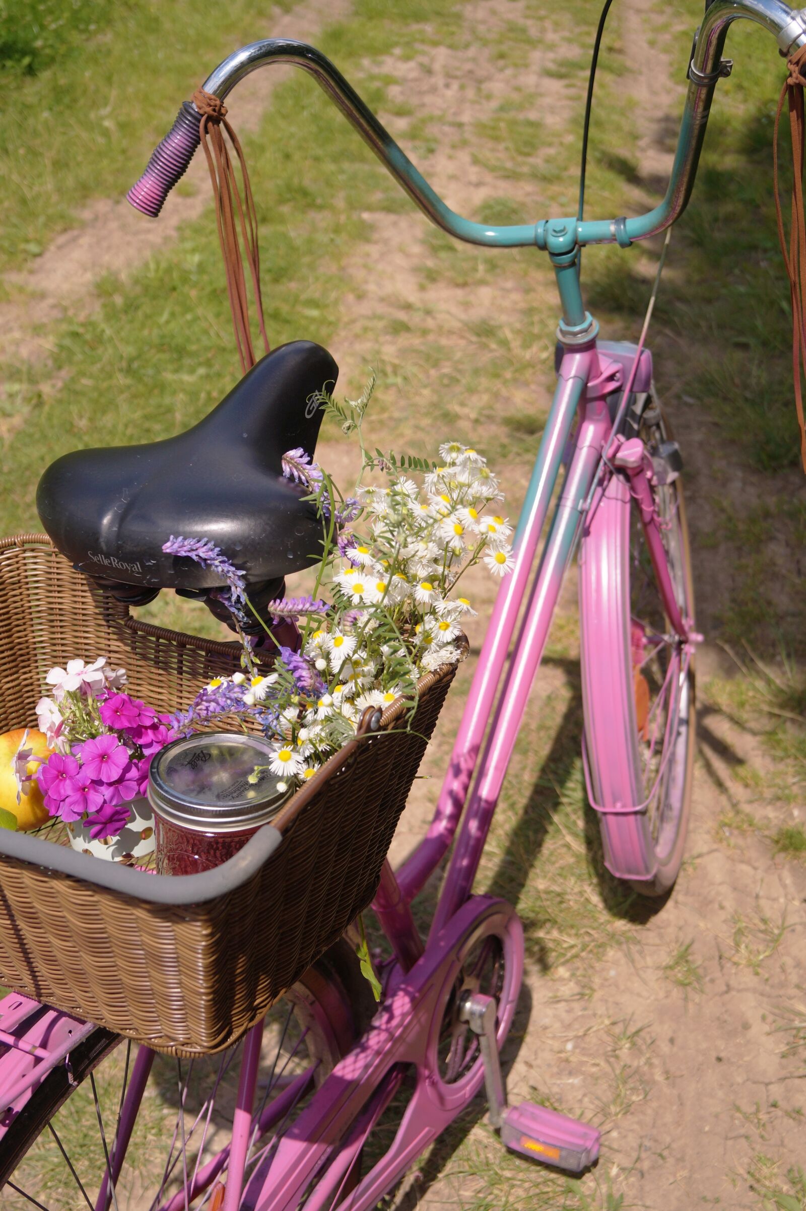 Sony DT 18-55mm F3.5-5.6 SAM II sample photo. Bike, picnic, bonanza photography