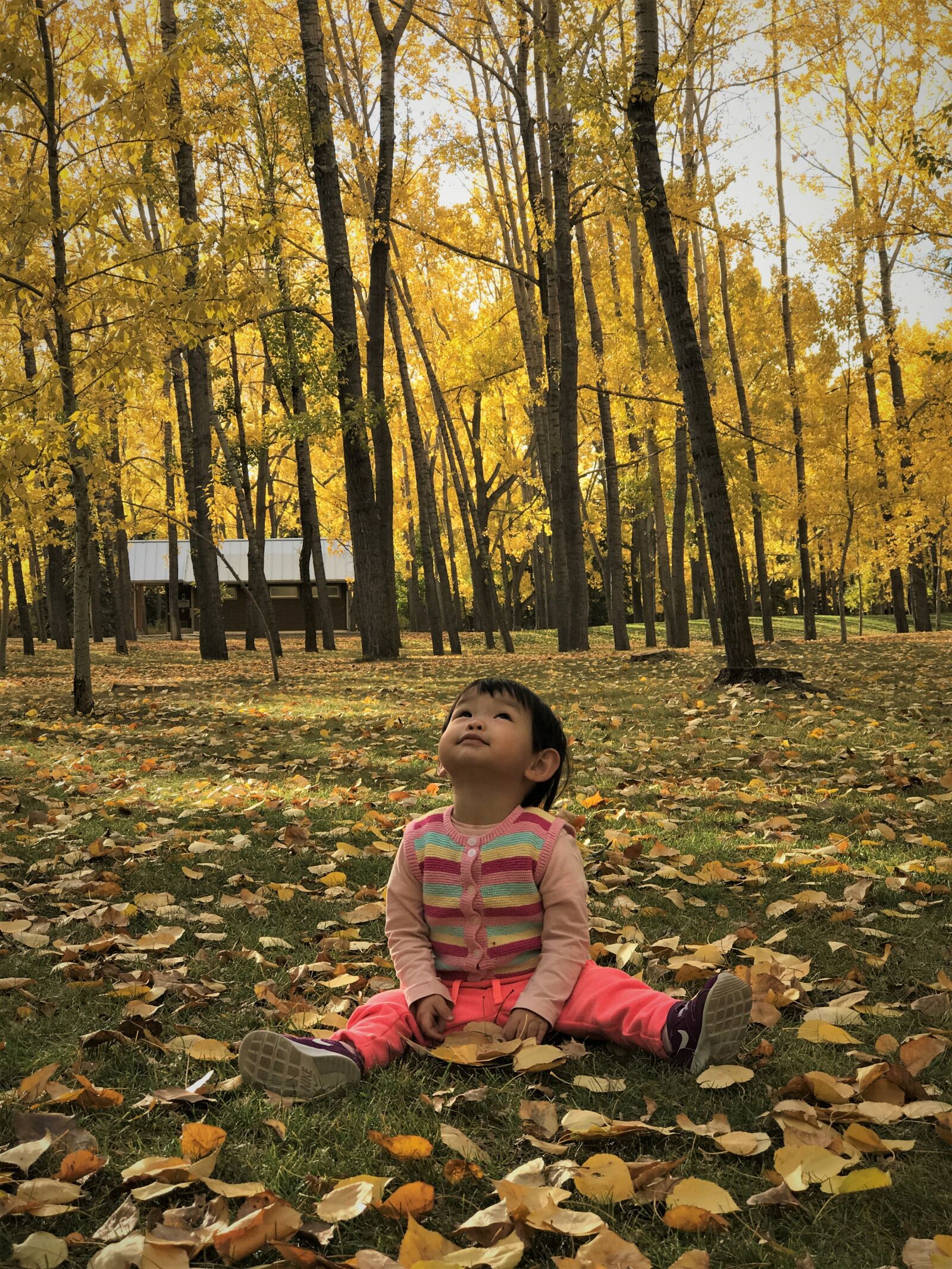 Apple iPhone 7 Plus sample photo. Baby, fall, autumn photography