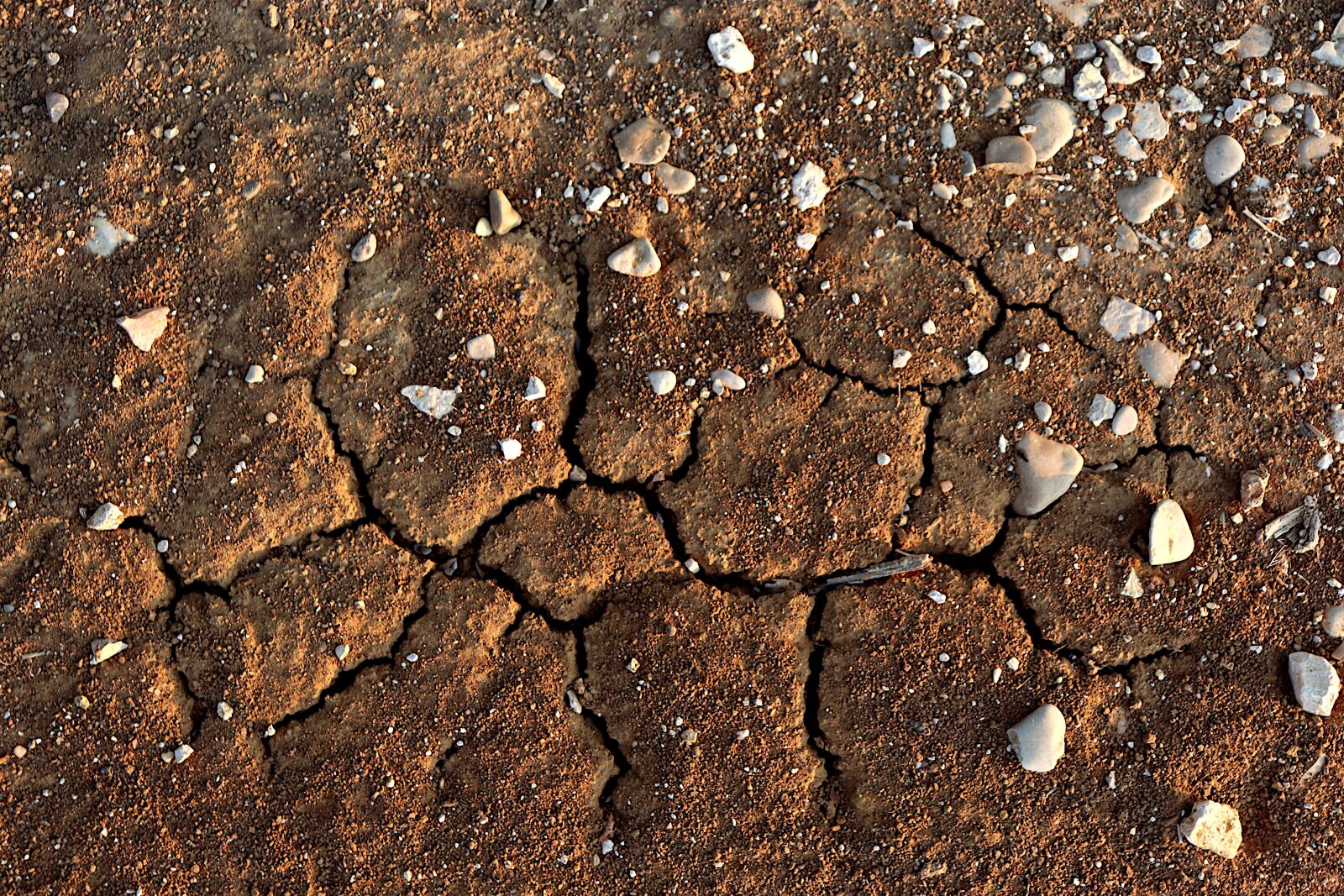 Canon EF-S 18-55mm F4-5.6 IS STM sample photo. Soil, cracked, drought photography