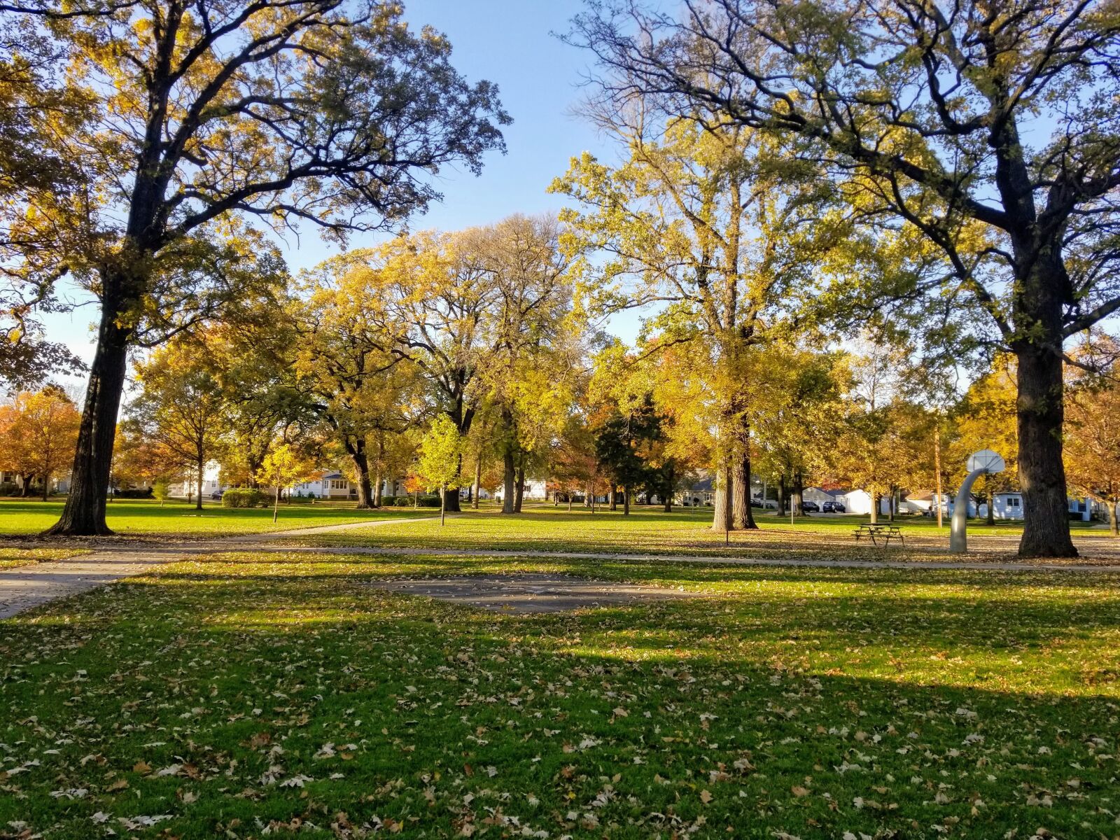Samsung Galaxy S8 sample photo. Fall, park, autumn photography