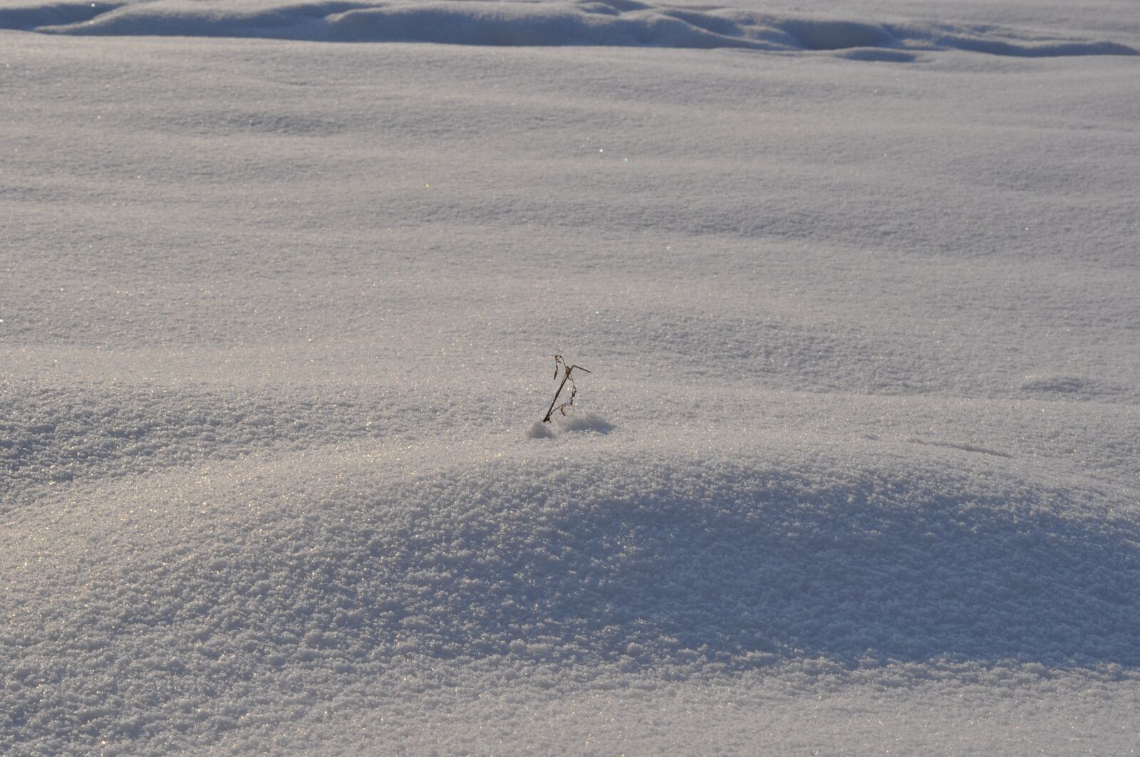 Nikon D5000 sample photo. Winter, snow, snowdrift photography
