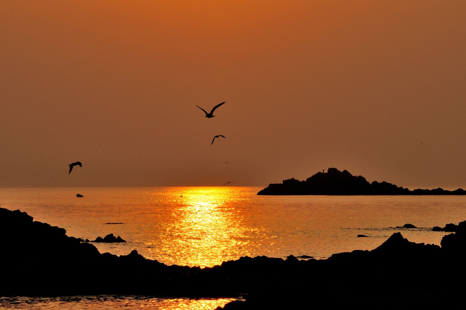 Nikon D300S sample photo. Sea, sunset, silhouette photography