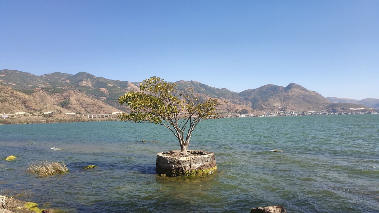 Meizu PRO 6 Plus sample photo. Erhai lake, trees, no photography