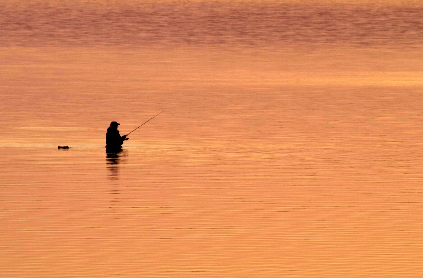 Pentax K-30 sample photo. Fish, dawn, water photography