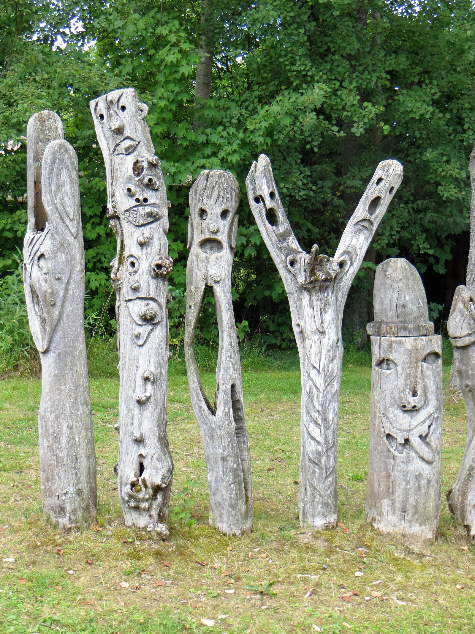 Canon PowerShot SX260 HS sample photo. Wood art, emotions, males photography