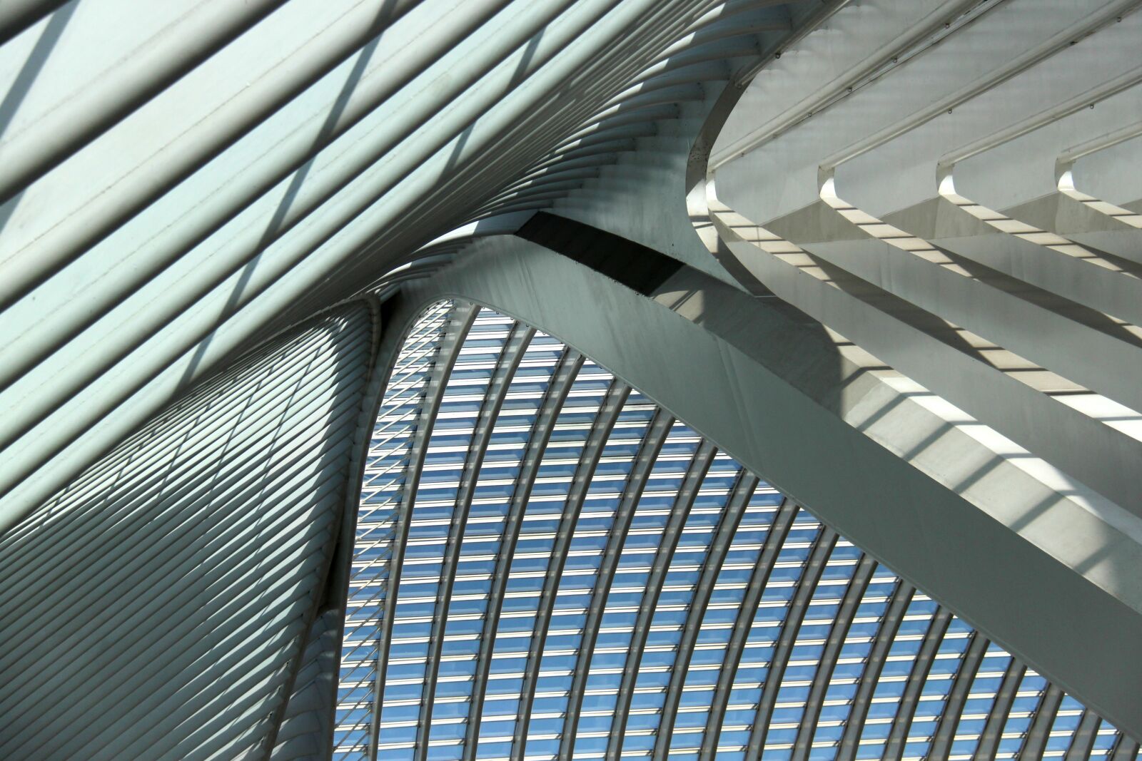 Canon EOS 500D (EOS Rebel T1i / EOS Kiss X3) sample photo. Santiago calatrava, architecture, li photography