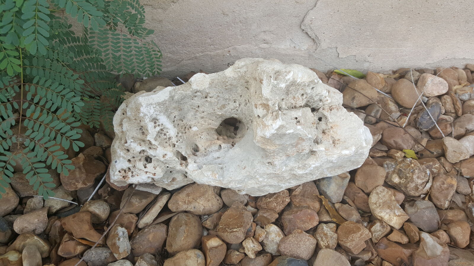 Samsung Galaxy Note5 sample photo. Flower, bed, hole, rock photography