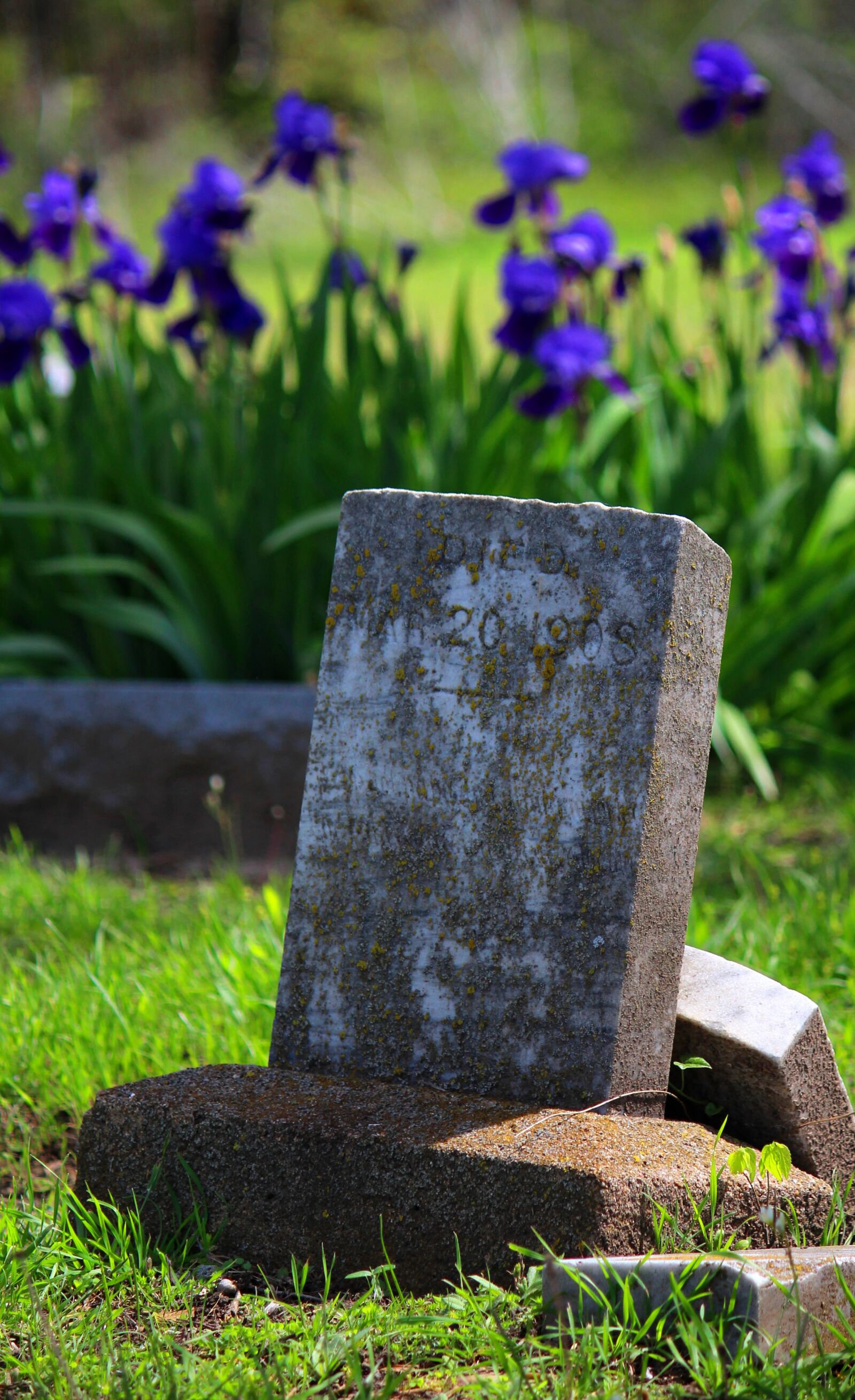 Canon EF-S 55-250mm F4-5.6 IS sample photo. Tombstone, graveyard, flowers photography