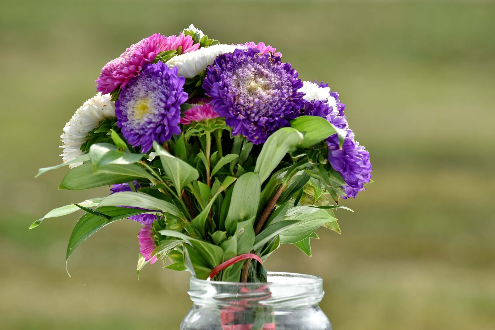 Nikon D5500 sample photo. Jar, vase, arrangement, bouquet photography