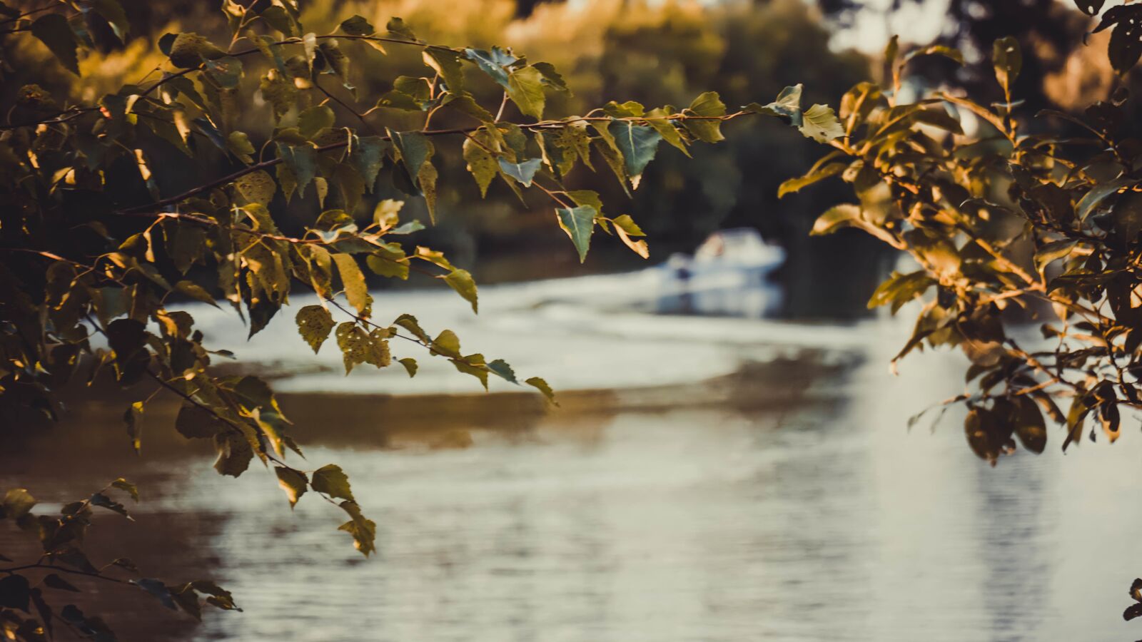 Sony a6000 + Sony Vario-Tessar T* E 16-70mm F4 ZA OSS sample photo. Autumn, river, nature photography