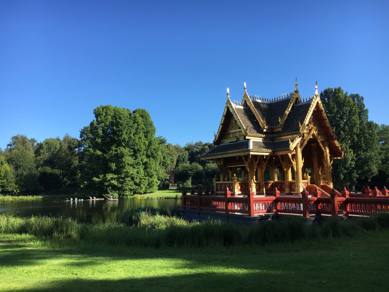 Apple iPhone 6s sample photo. Hamburg, hagen beck zoo photography