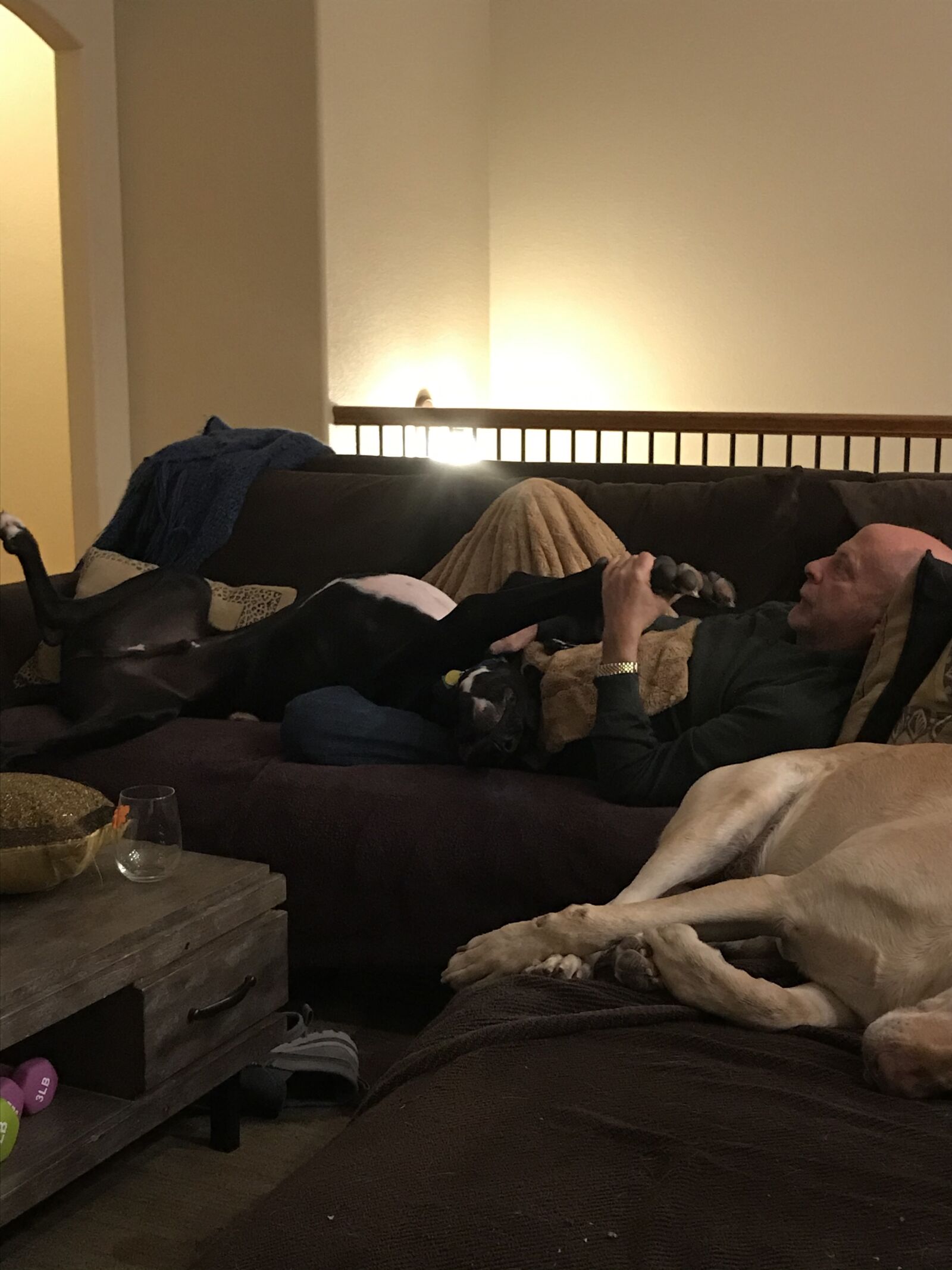Apple iPad Pro (10.5-inch) sample photo. Dog with dad, sleeping photography